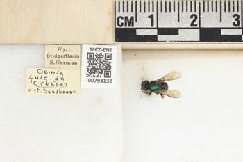 Media type: image;   Entomology 793132 Aspect: Labels
